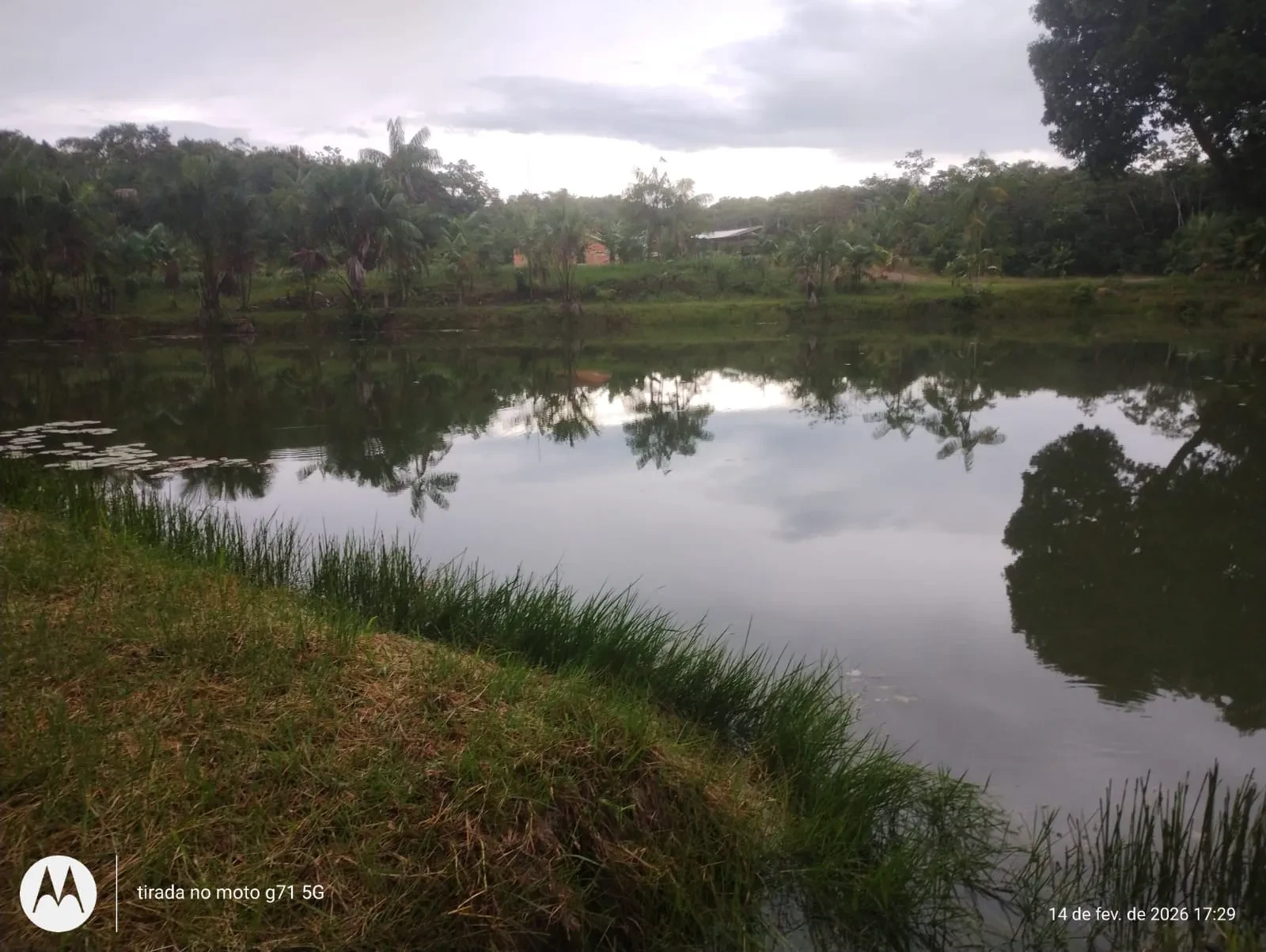 Imagem Fazenda à Venda, 46 HA em Acará - Acará