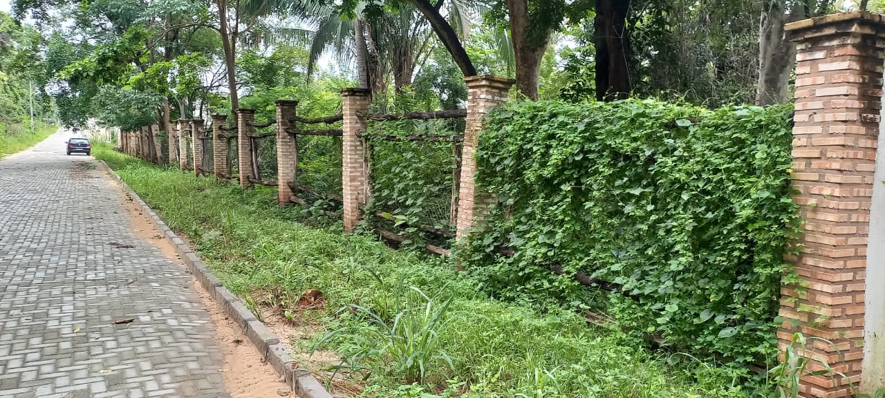 Imagem Chácara com 5 Quartos à Venda, 60.000 m² em Zoobotânico - Teresina