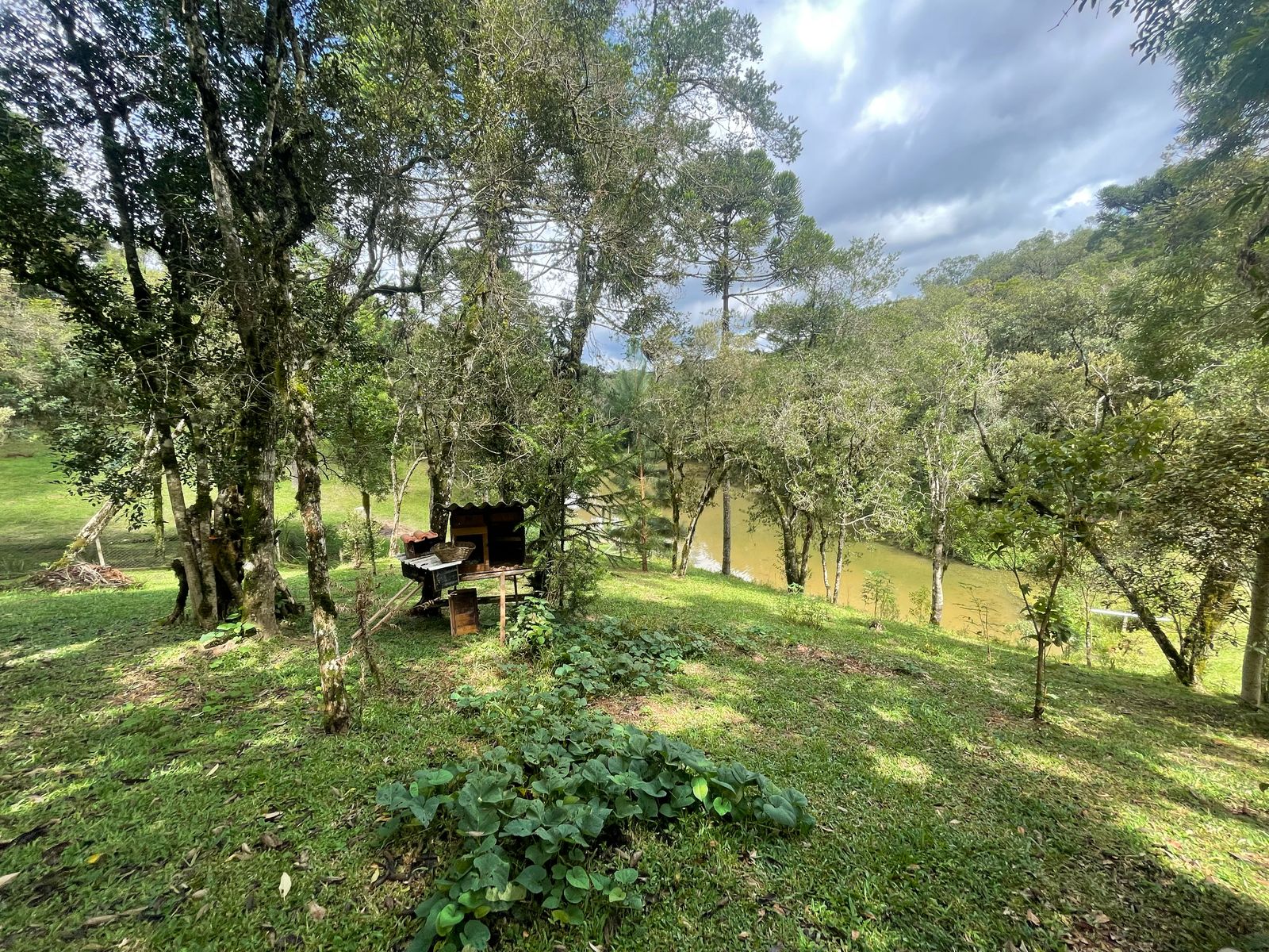 Foto do imóvel: Chácara com 3 Quartos à Venda, 6.800 m² em Salgadinho - Campo Largo