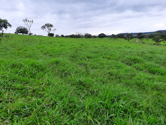 Imagem Fazenda à Venda, 48 m² em Área Rural de Luziânia - Luziânia