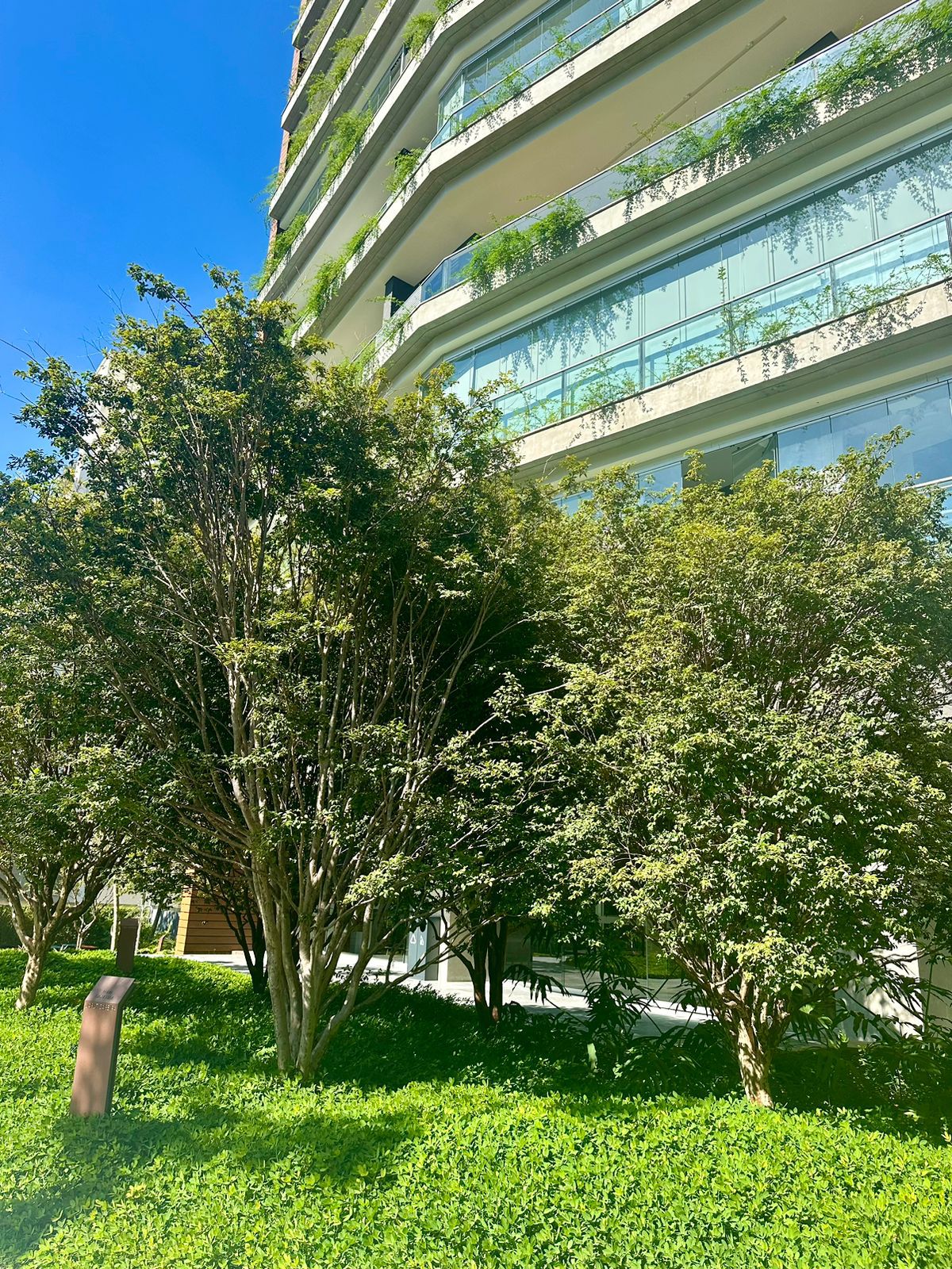 Imagem Apartamento com 2 Quartos à Venda, 97 m²em Cerqueira César - São Paulo