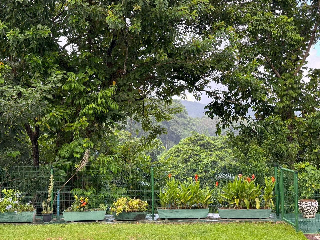Foto do imóvel: Casa com 4 Quartos à Venda, 384 m² em Várzea - Recife
