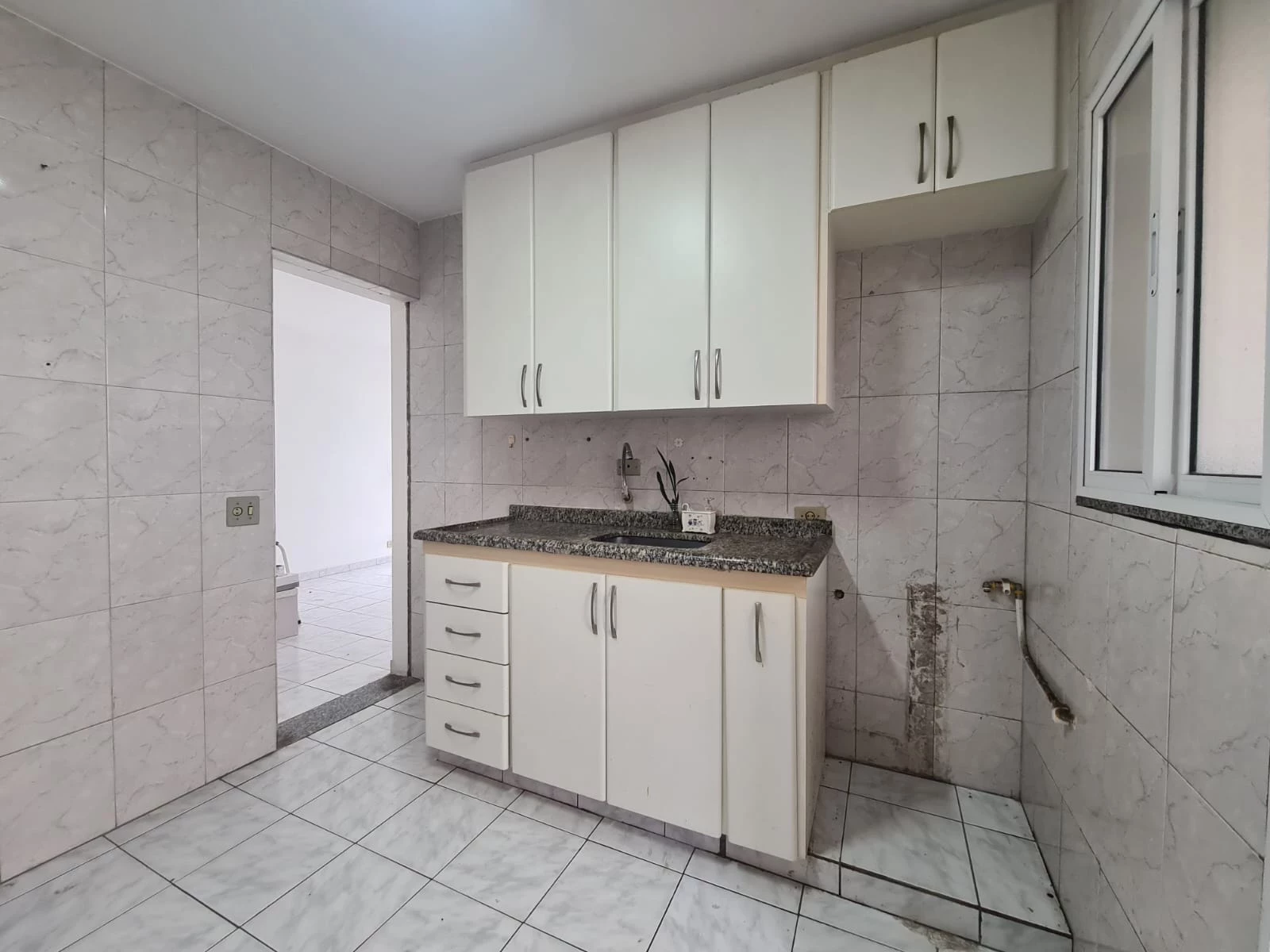 Imagem Apartamento com 2 Quartos à Venda, 52 m² em Parque Imperial - São Paulo