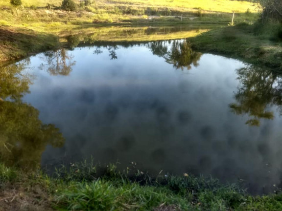 Imagem Fazenda à Venda, 36.000 m² em Aparecidinha - Araçoiaba da Serra