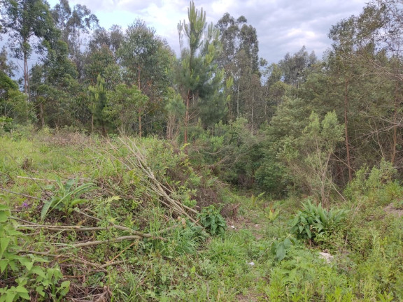 Terreno à Venda, 1.480 m² em LEÃO - Agudos do Sul