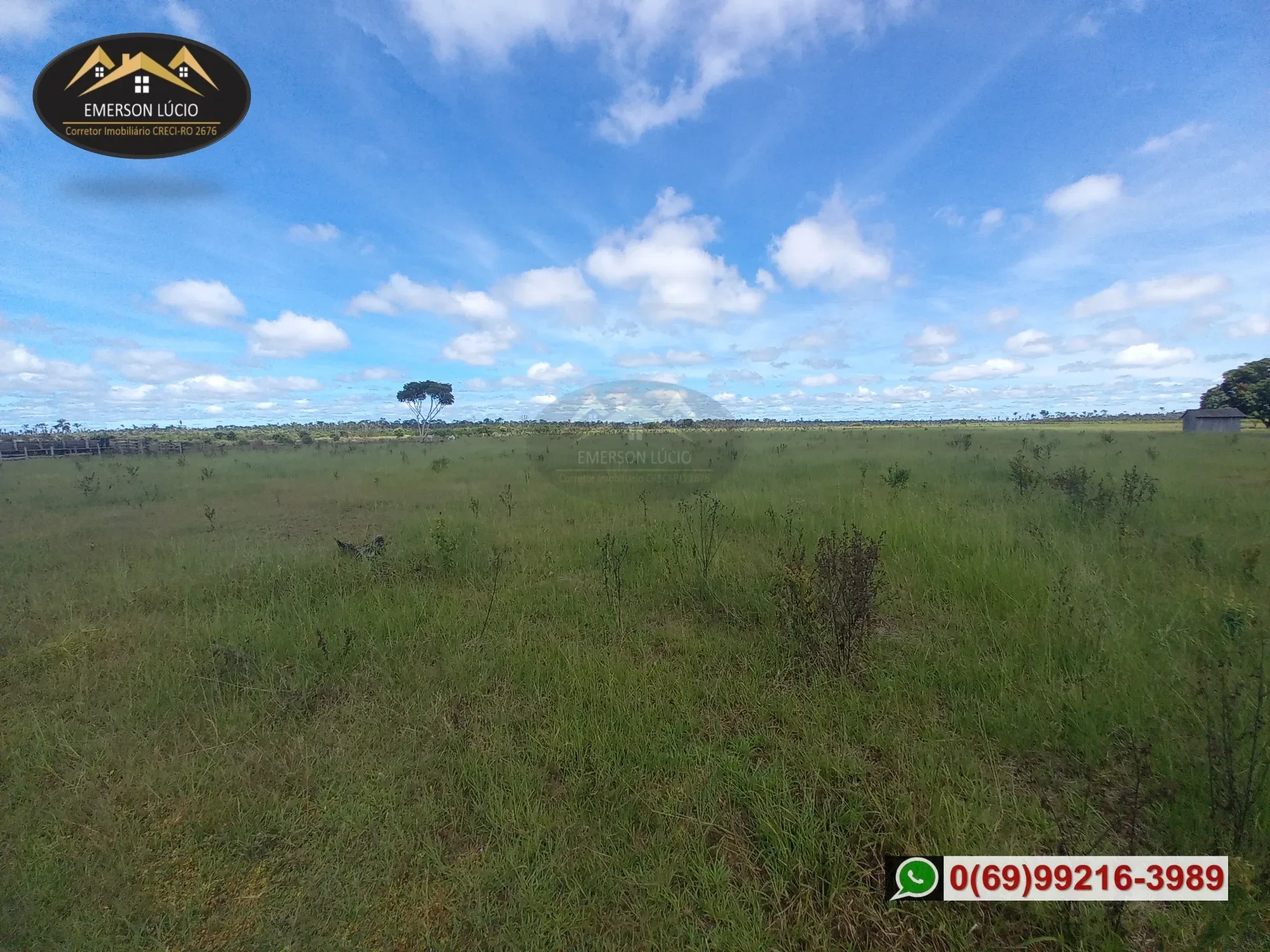 Imagem Fazenda à Venda, 54 HA em Área Rural de Porto Velho - Porto Velho