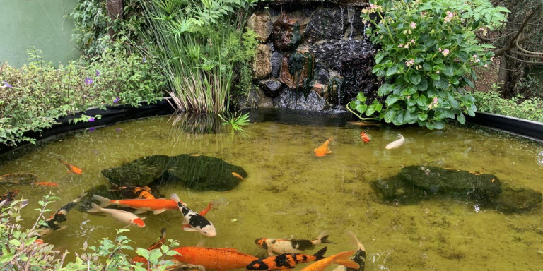 Imagem Chácara com 4 Quartos à Venda, 400 m² em Centro - Santa Isabel