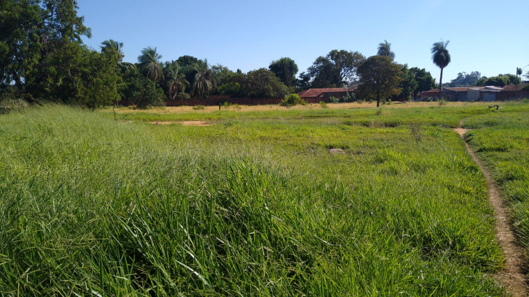 Terreno à Venda, 5.000 m² em Chácaras TV - Araçatuba