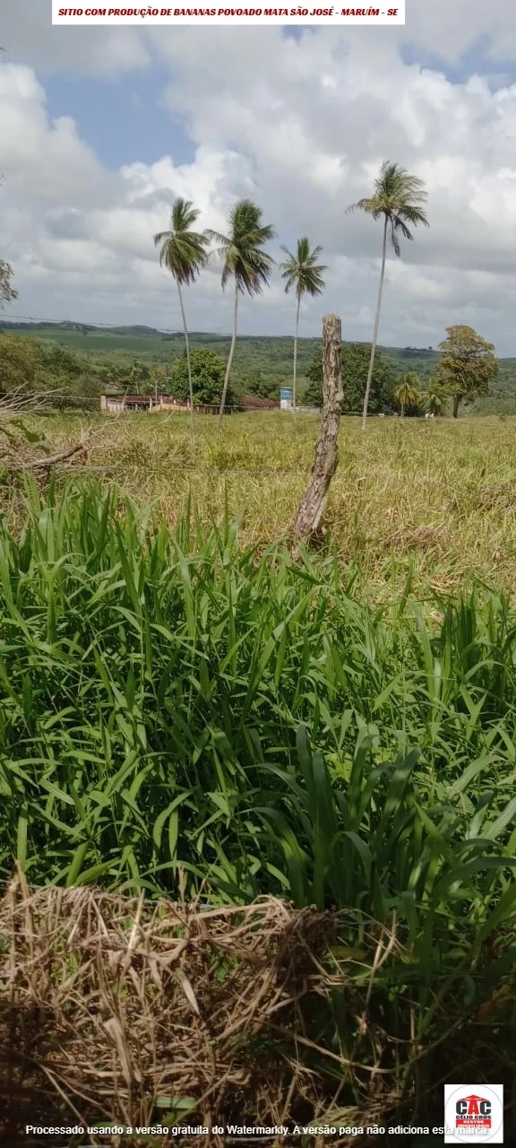 Foto do imóvel: Chácara com 2 Quartos à Venda, 80 m² em Maruim - Maruim