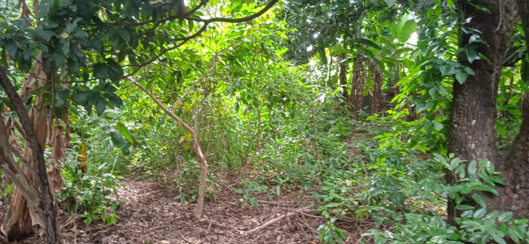 Imagem Terreno à Venda, 637 m²em Setor Sudoeste - Goiânia
