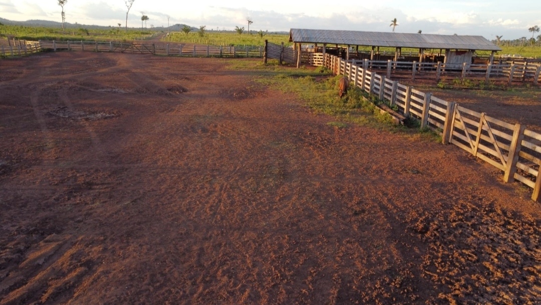 Foto do imóvel: Fazenda à Venda, 430 m² em Centro  - São Félix do Xingu