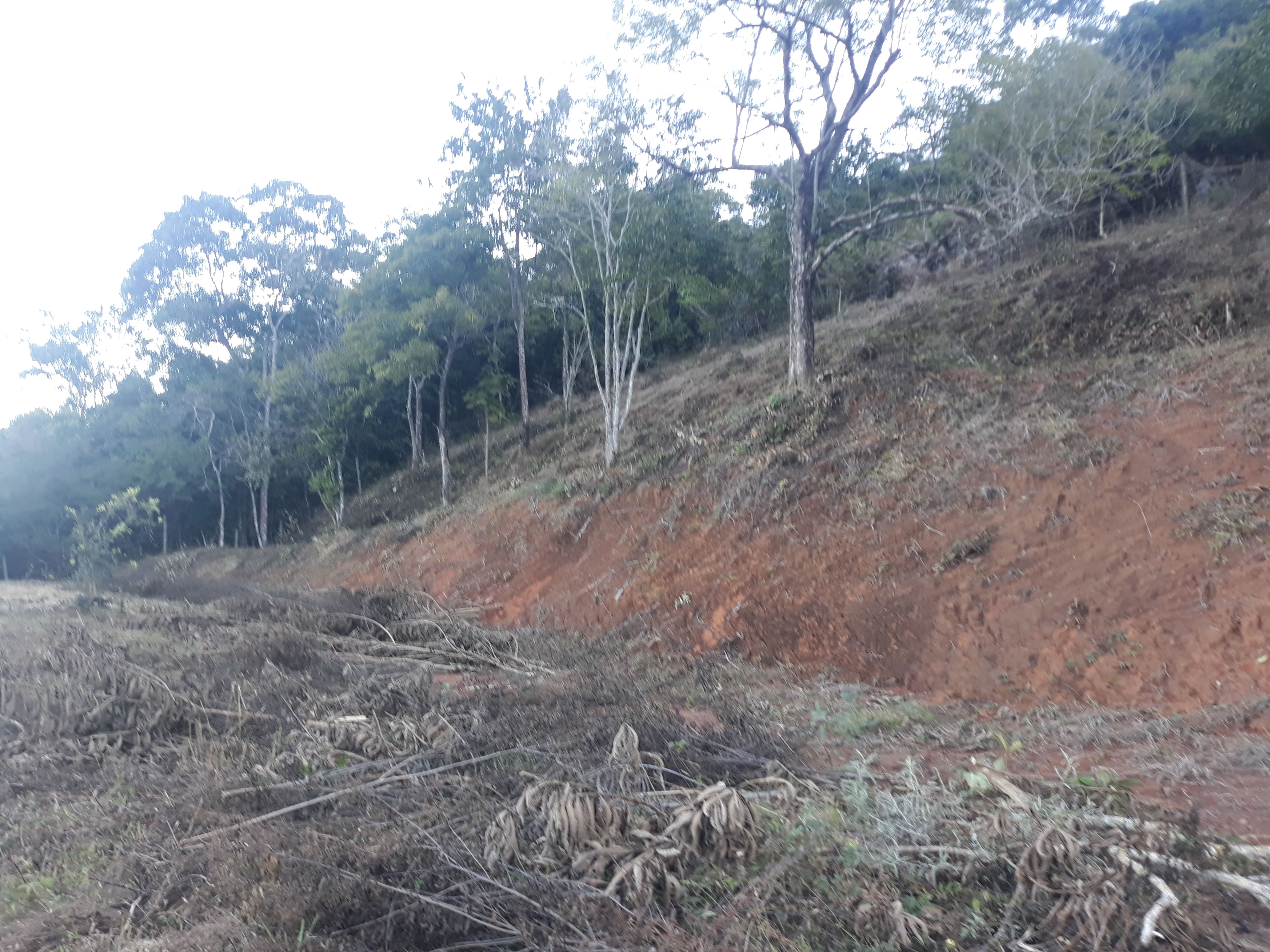 Imagem Terreno à Venda, em Torreões - Juiz de Fora