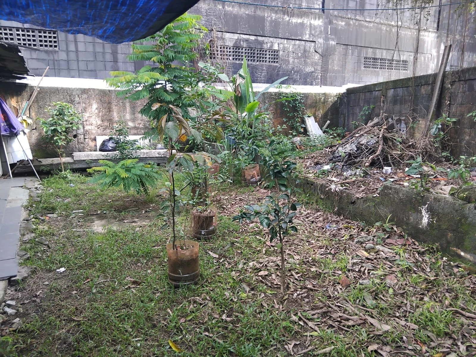 Imagem Terreno à Venda, 400 m² em Vila Paulista - Cubatão