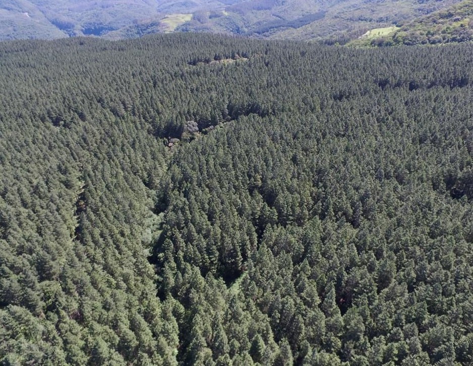 Foto do imóvel: Fazenda à Venda, 523 HA em Distrito do Aiurê - Grão Pará
