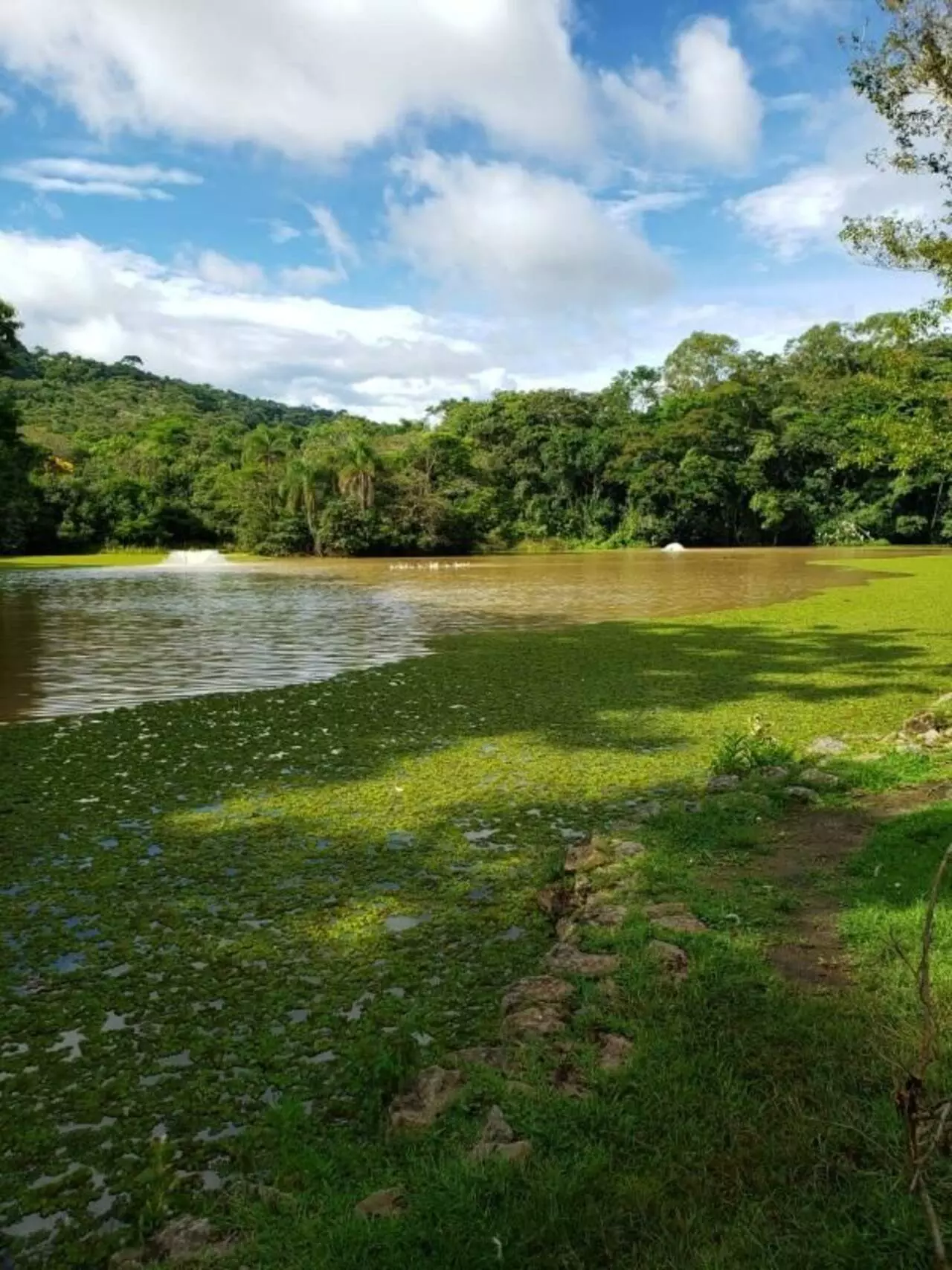 Imagem Casa de Condomínio com 3 Quartos à Venda, 217 m²em Transurb - Itapevi