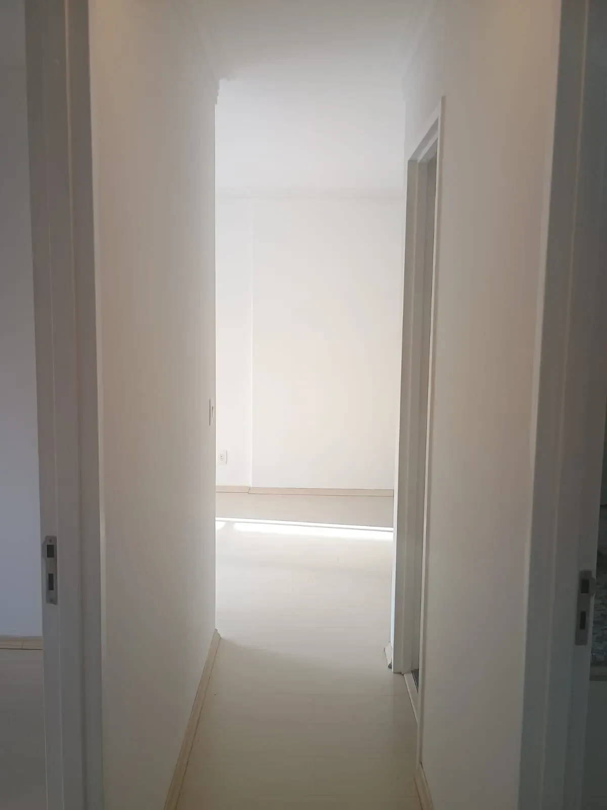 Imagem Apartamento com 3 Quartos à Venda, 62 m² em Brás - São Paulo
