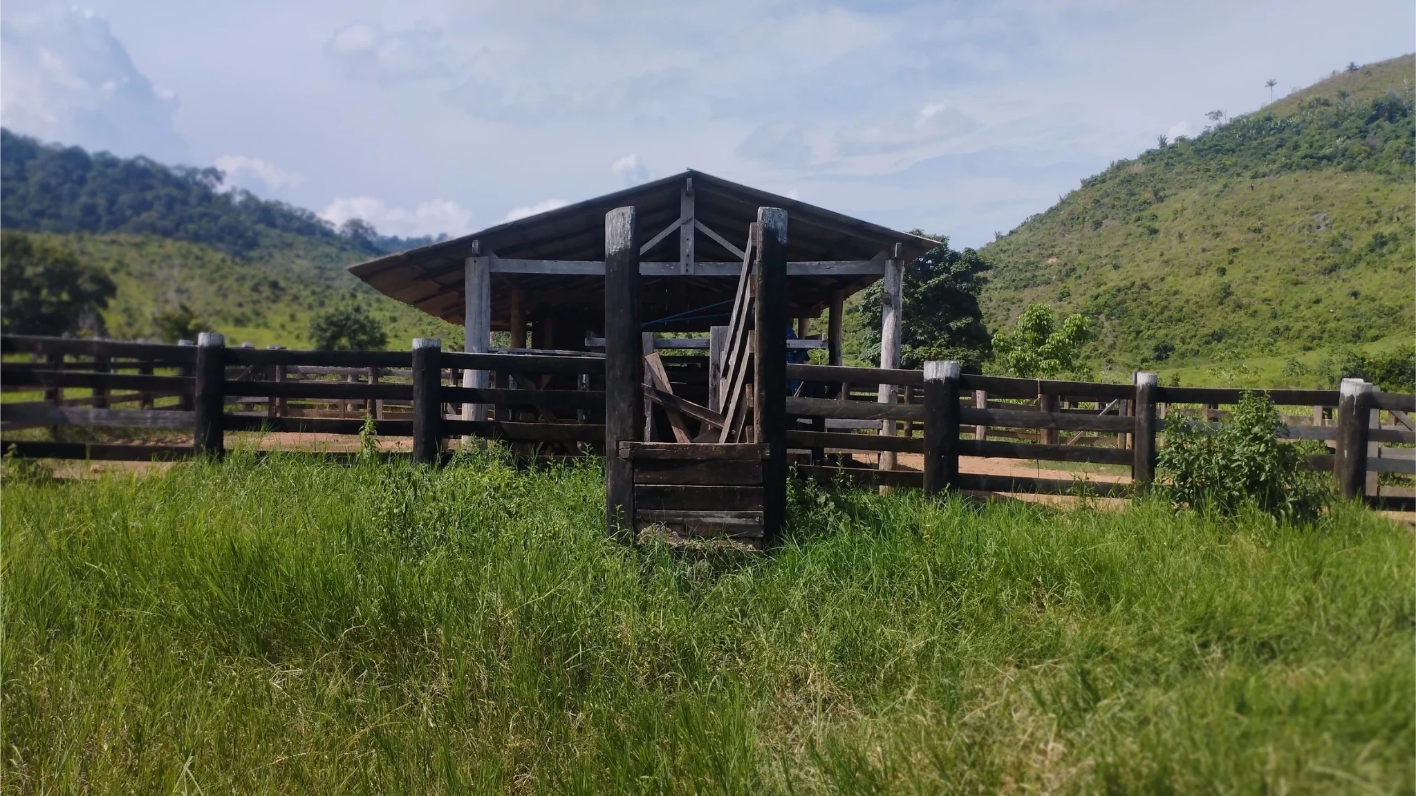 Foto do imóvel: Fazenda à Venda, 58 Alq. GO em São Félix do Xingu - São Félix do Xingu
