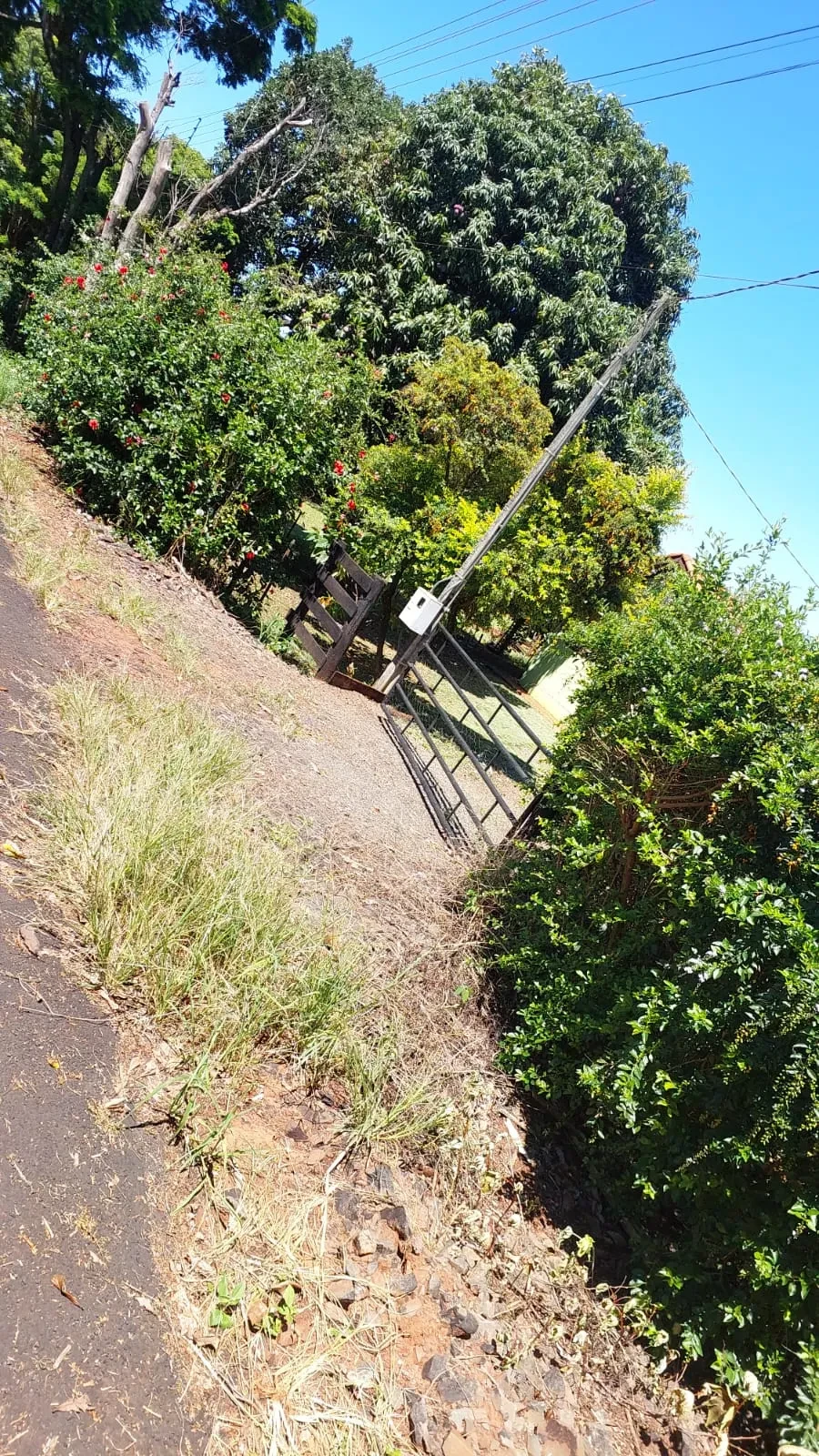 Imagem Chácara com 2 Quartos à Venda ou Locação, 90 m² em Pitangueiras - Pitangueiras