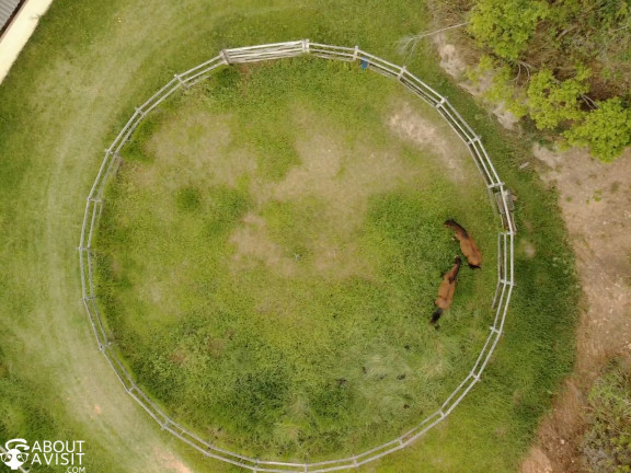 Imagem Fazenda à Venda, 60.000 m² em Ramada - Miguel Pereira