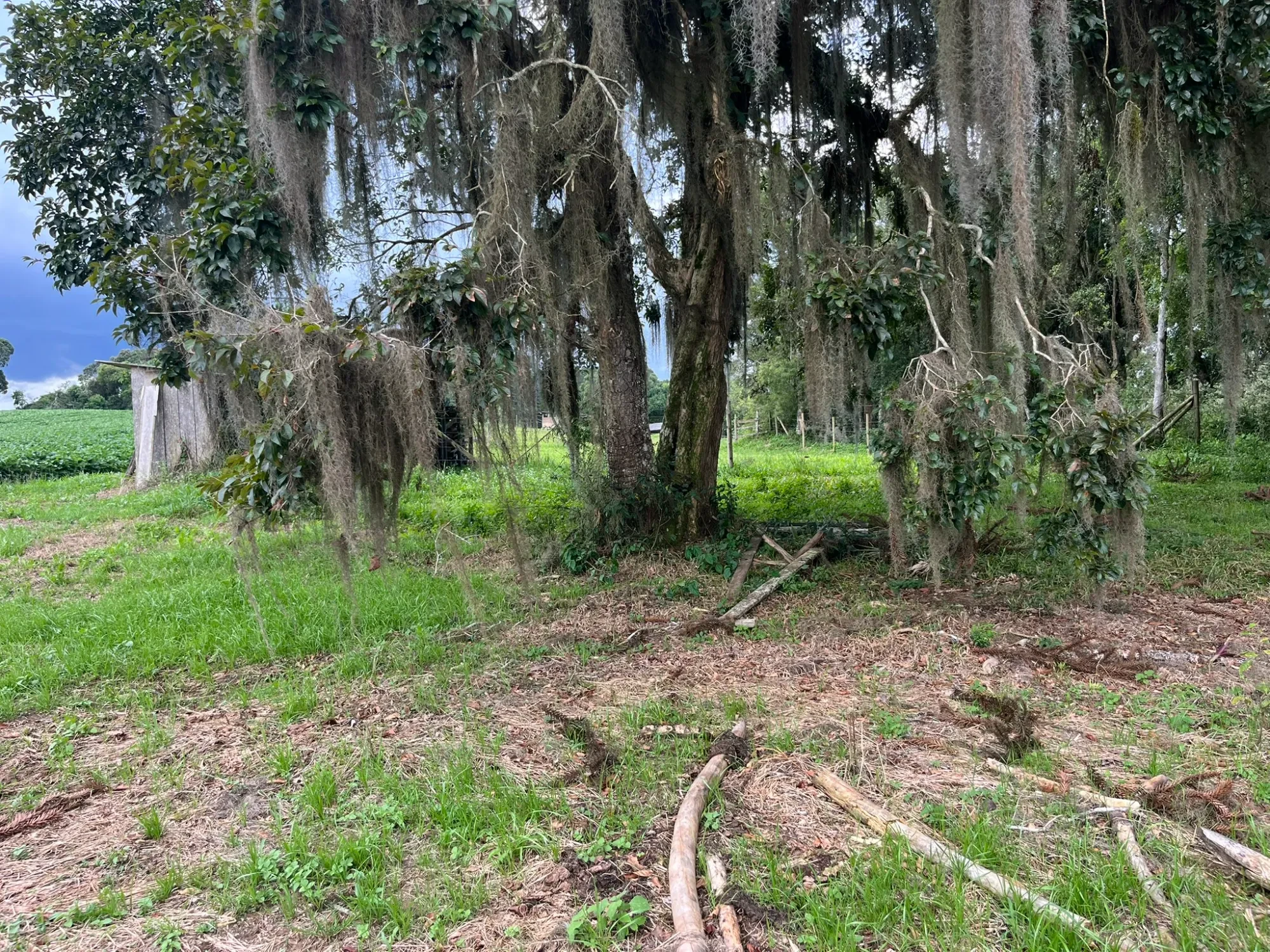 Foto do imóvel: Chácara à Venda, 20000 m² em São Marcos - São José dos Pinhais