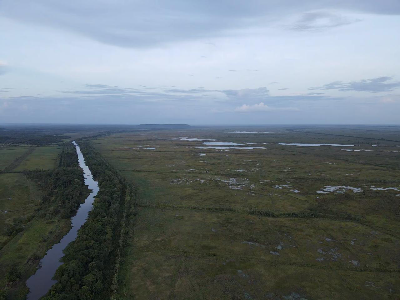 Imagem Fazenda à Venda, 22 HAem rural - Almeirim
