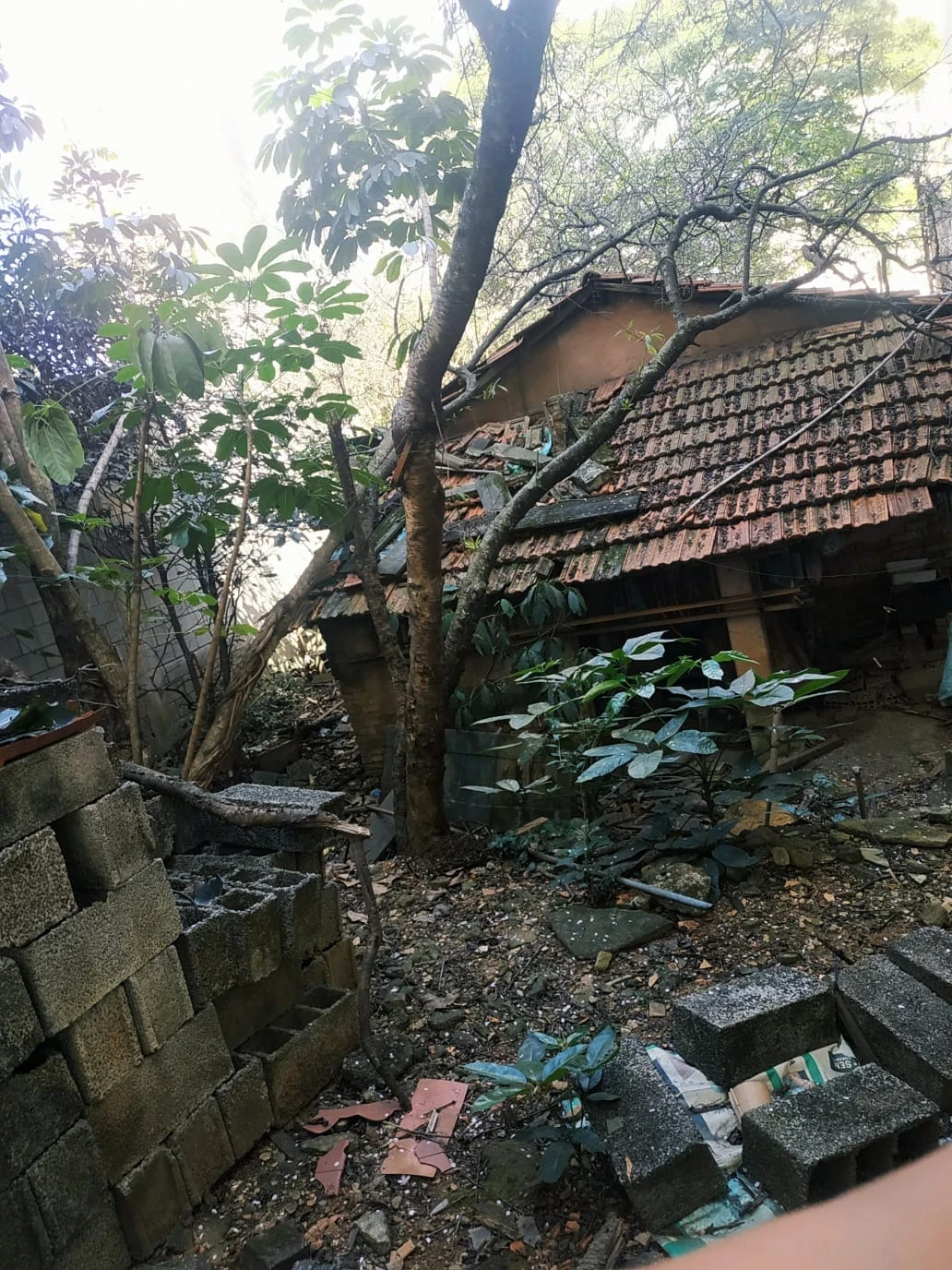 Imagem Terreno à Venda, 211 m² em Vila Matilde - São Paulo
