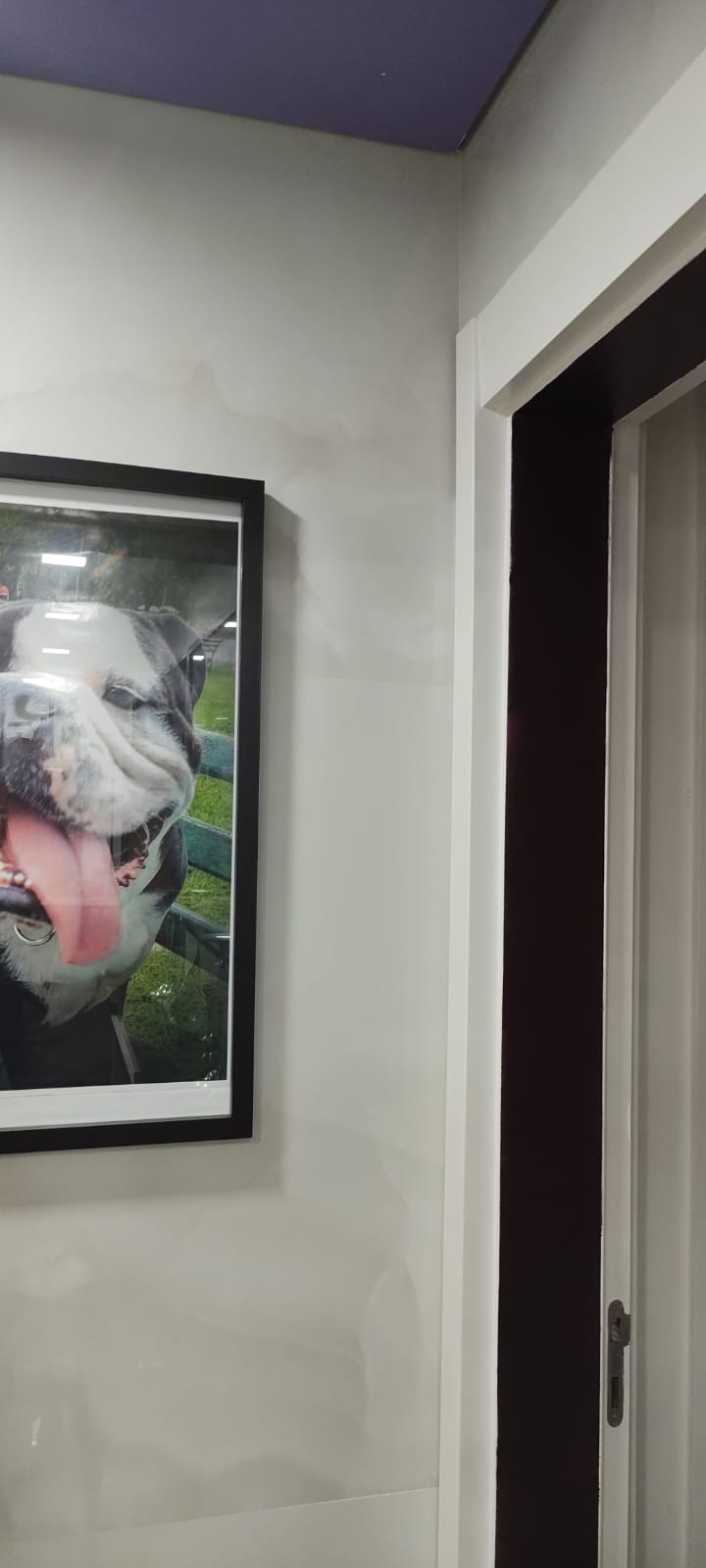 Imagem Apartamento com 2 Quartos à Venda, 64 m²em Parque Imperial - São Paulo