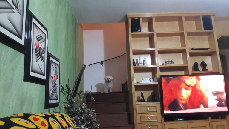 Imagem Sobrado com 3 Quartos à Venda, 160 m²em Jardim Santa Mena - Guarulhos