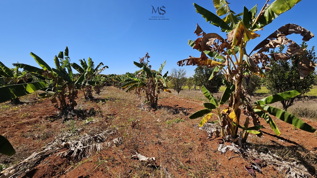 Imagem Terreno à Venda, 5000 m² em Zona de Dinamização (Santa Maria) - Brasília