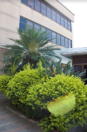 Imagem Imóvel Comercial para Alugar, 2.068 m² em Vila Mascote - São Paulo