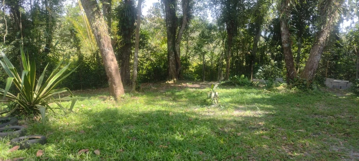 Imagem Chácara com 2 Quartos à Venda, 75 m² em Jardim Coronel - Itanhaém