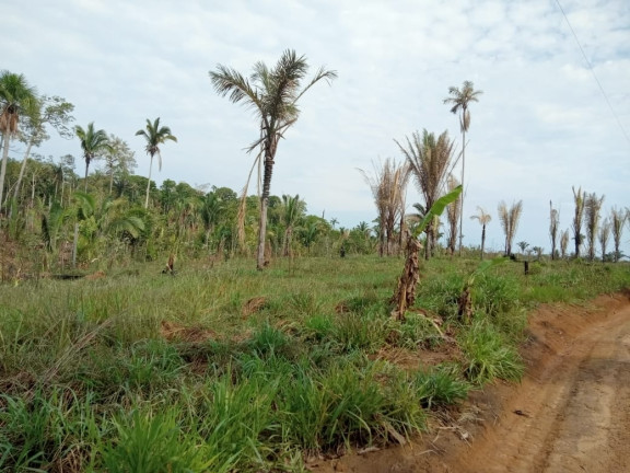 Imagem Terreno à Venda, 2.000 m² em Zona Rural - Humaitá