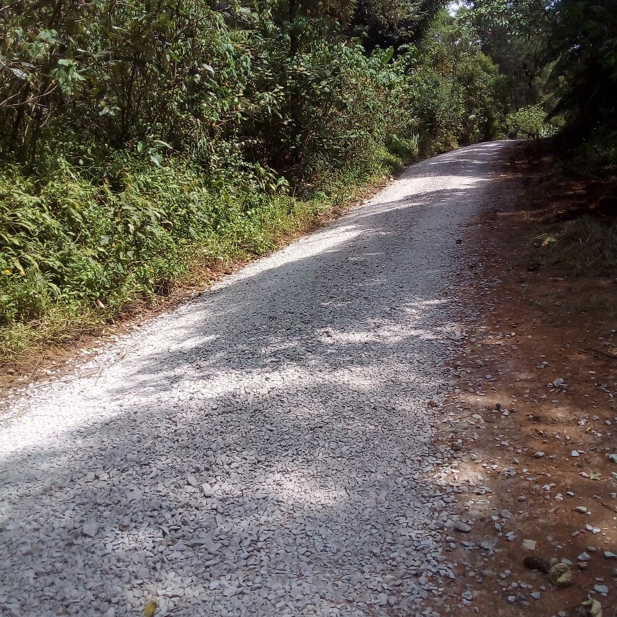 Imagem Chácara com 5 Quartos à Venda, 30 m² em Ribeirão do Ouro - Tapiraí