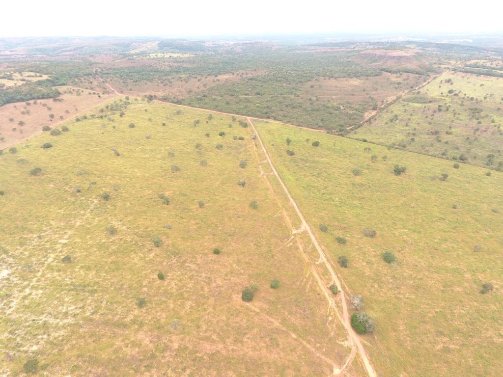 Imagem Fazenda à Venda, 80 Alq GOem Centro - Barra do Garças