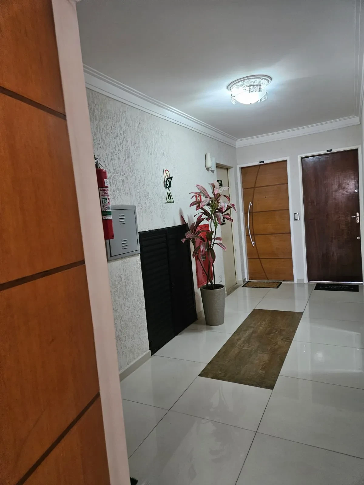 Imagem Apartamento com 3 Quartos para Alugar, 61 m² em Vila Santa Catarina - São Paulo