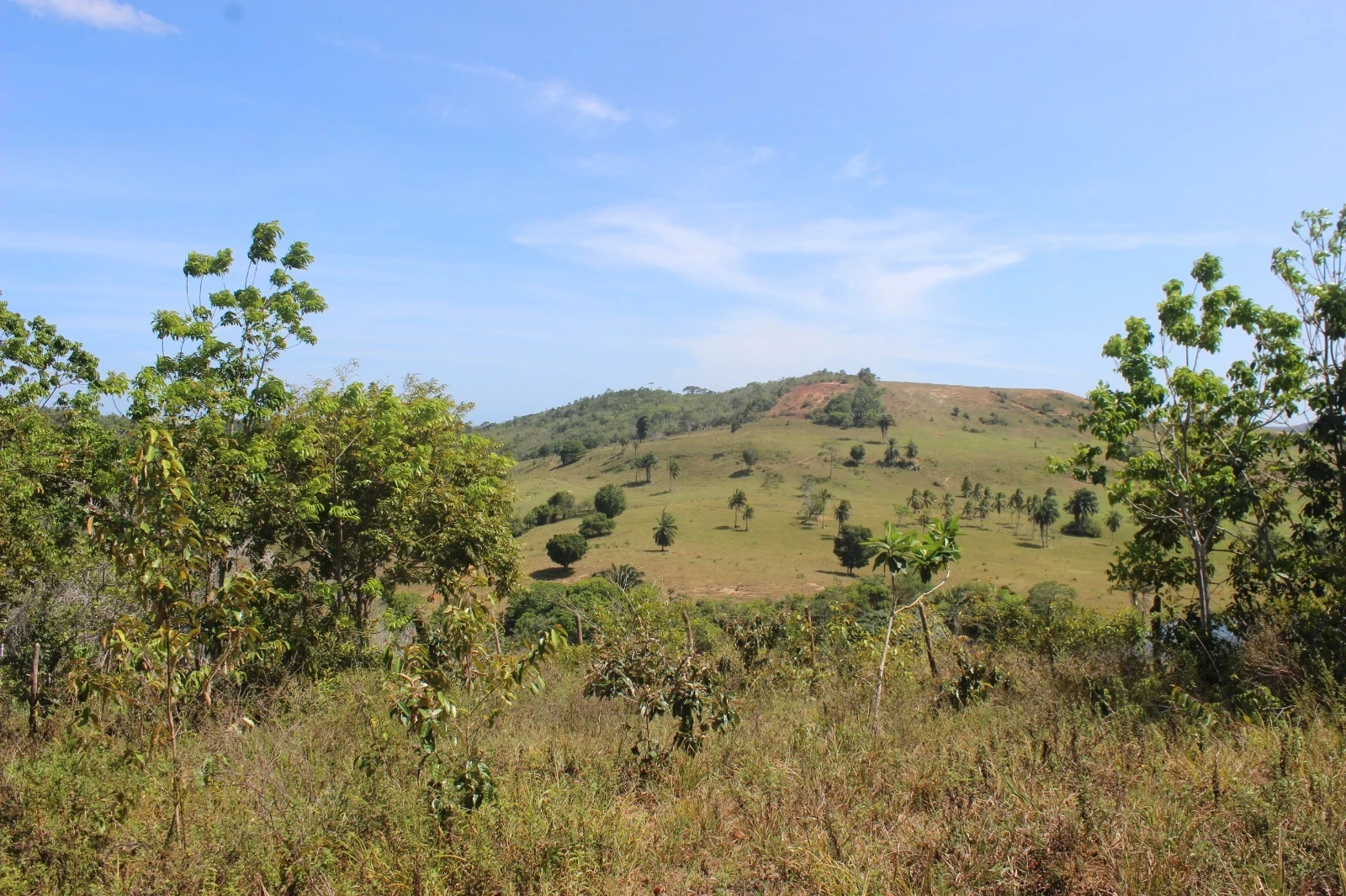Foto do imóvel: Chácara com 2 Quartos à Venda, 20100 m² em Mata de São João - Mata de São João