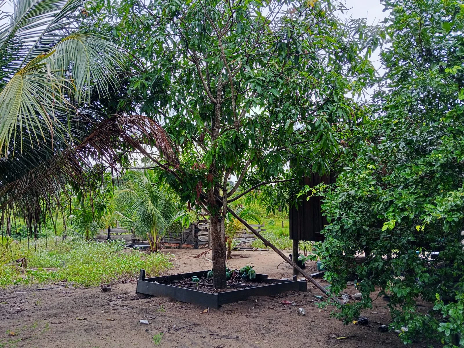 Imagem Fazenda à Venda, 132 m² em Candeias do Jamari - Candeias do Jamari