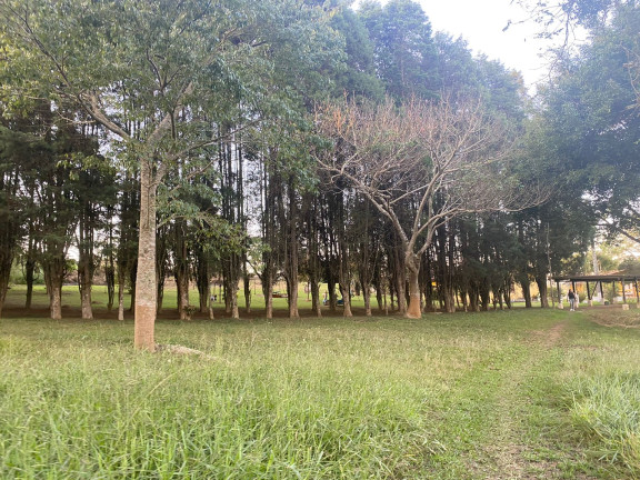 Imagem Terreno à Venda, 1.000 m² em Jardim Primavera - Salto de Pirapora
