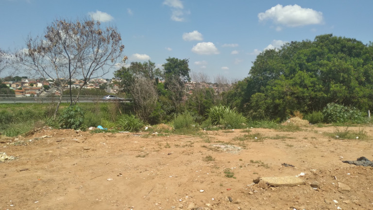 Terreno à Venda,  em Vila Aeroporto I - Campinas