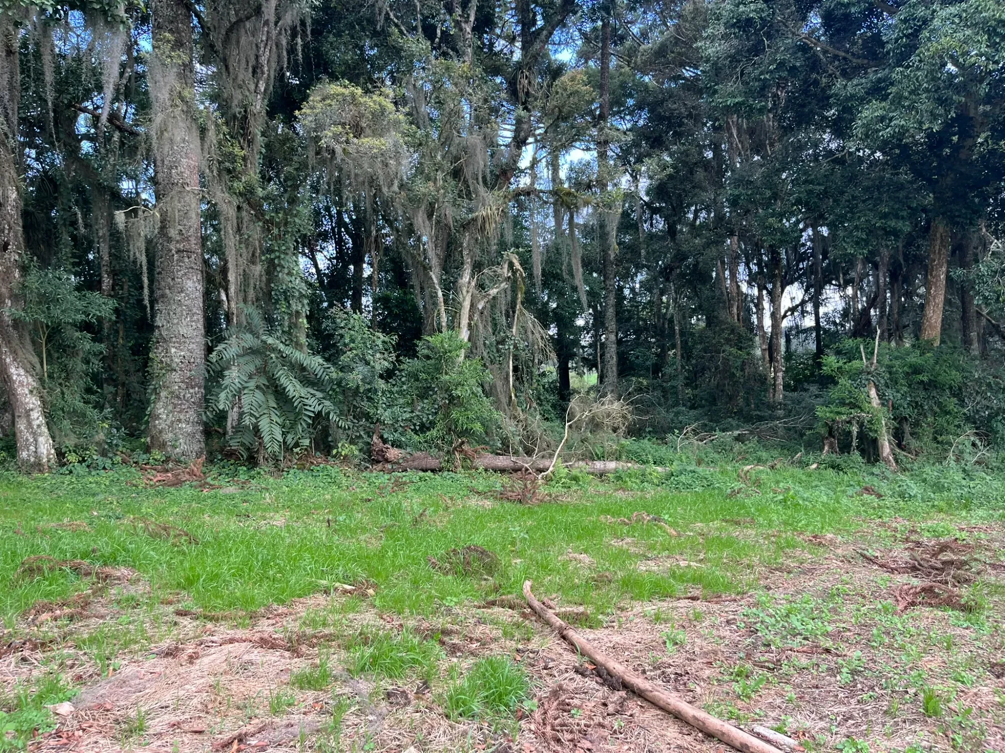 Foto do imóvel: Chácara à Venda, 20000 m² em São Marcos - São José dos Pinhais
