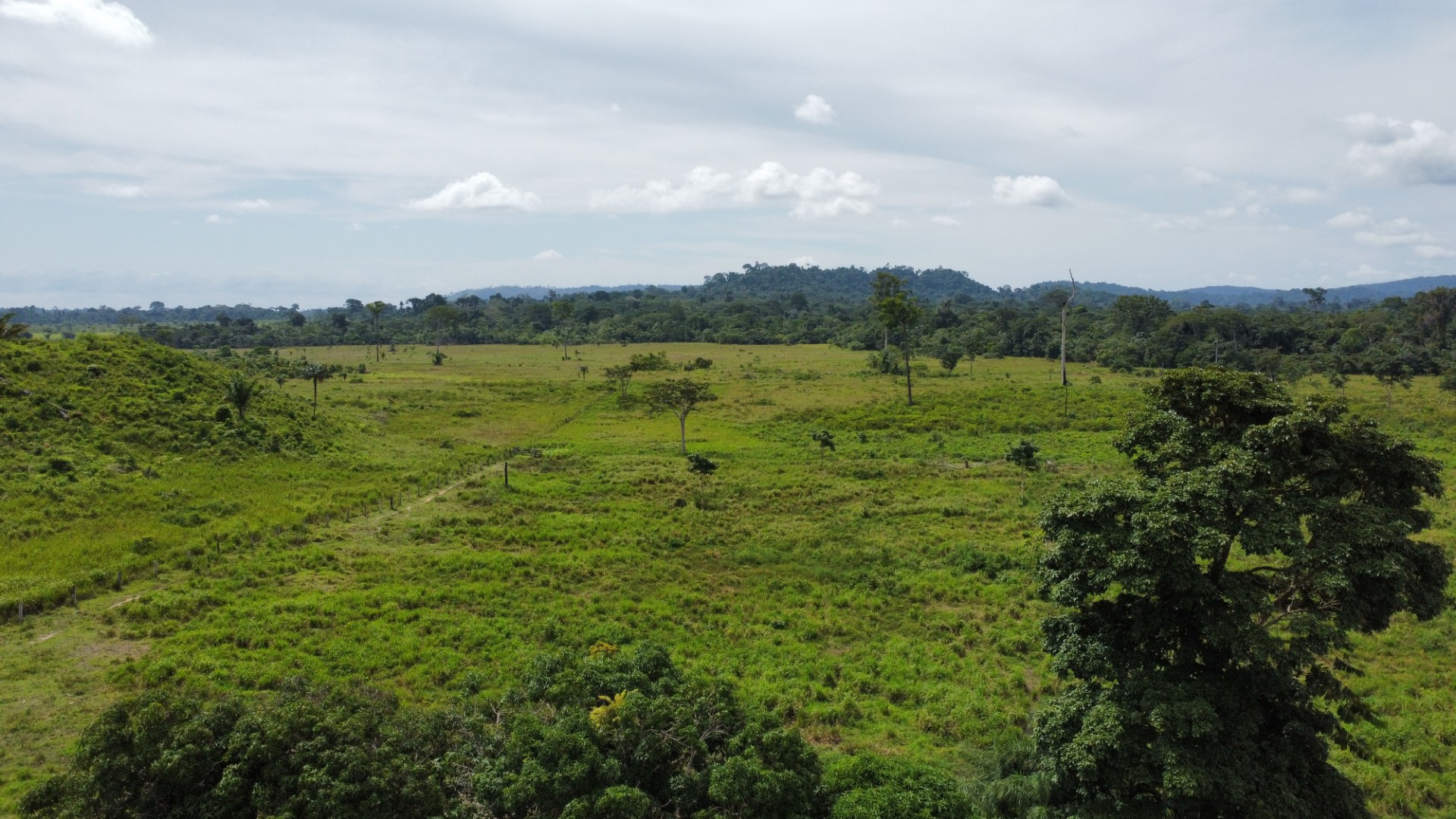 Foto do imóvel: Fazenda à Venda, 900 Alq MGem Centro  - São Félix do Xingu