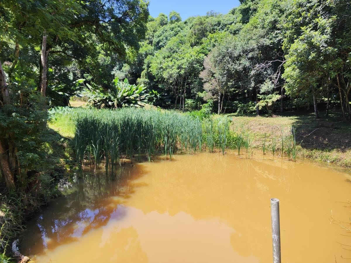 Foto do imóvel: Chácara à Venda, 10.000 m² em Colônia Mariana  - Campo Largo 