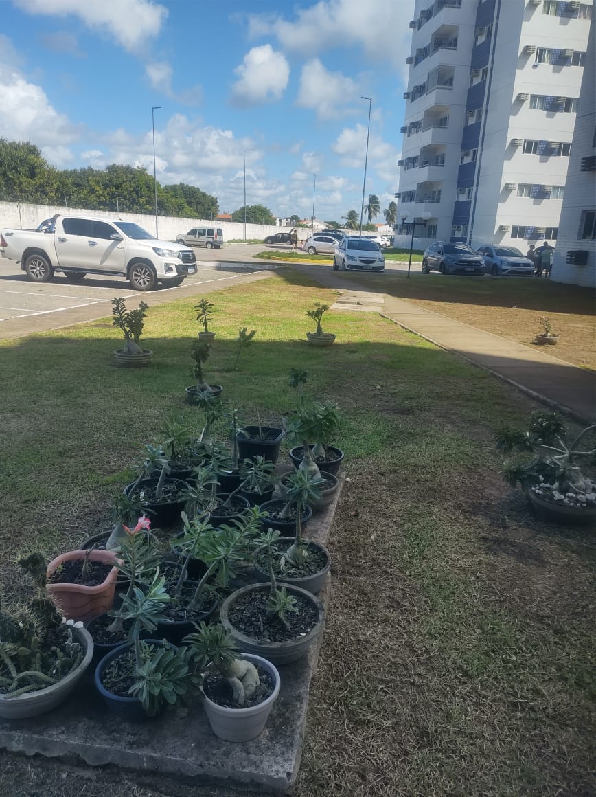 Imagem Apartamento com 3 Quartos à Venda ou Locação, 69 m²em Nossa Senhora do Ó - Paulista