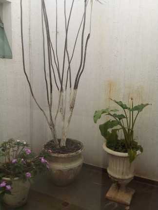 Imagem Imóvel Comercial à Venda,  em Centro - Sorocaba