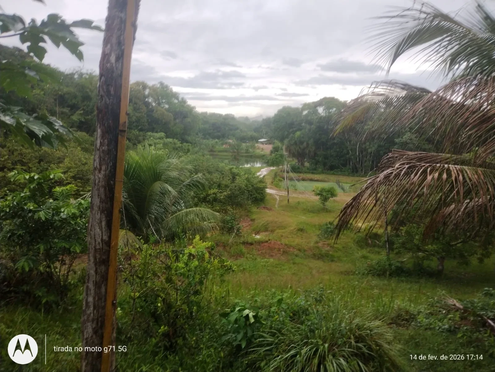 Imagem Fazenda à Venda, 46 HA em Acará - Acará