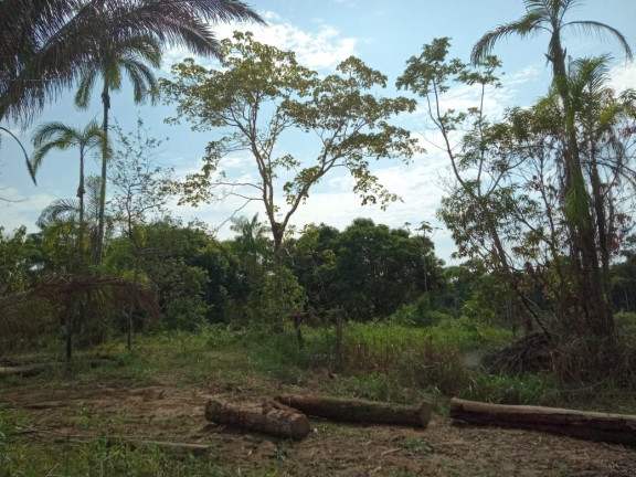 Imagem Terreno à Venda, 2.000 m² em Zona Rural - Humaitá