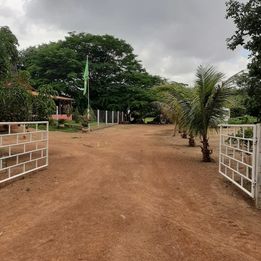 Imagem Fazenda à Venda, 103 Alq GOem ZONA RURAL - Pedro Afonso