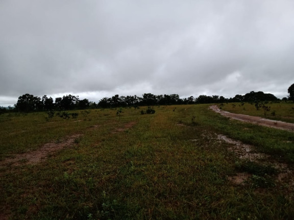Imagem Fazenda à Venda, 4.870 HA em morumbi - campo grande
