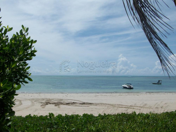 Imagem Casa com 7 Quartos à Venda, 764 m² em Praia dos Carneiros - Tamandaré