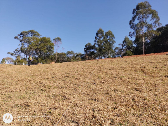 Imagem Terreno à Venda, 1.000 m² em vicente nunes - Nazaré Paulista